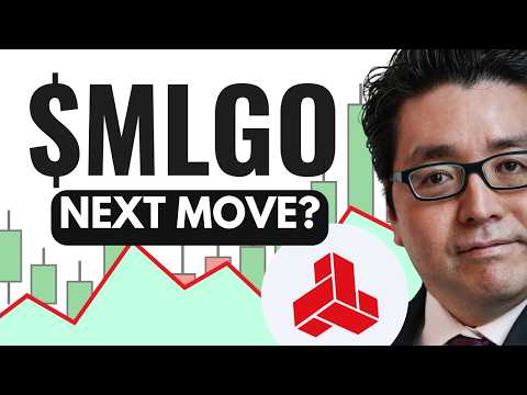 MLGO Stock (MicroAlgo Inc stock analysis) MLGO STOCK PREDICTION & analysis & news today