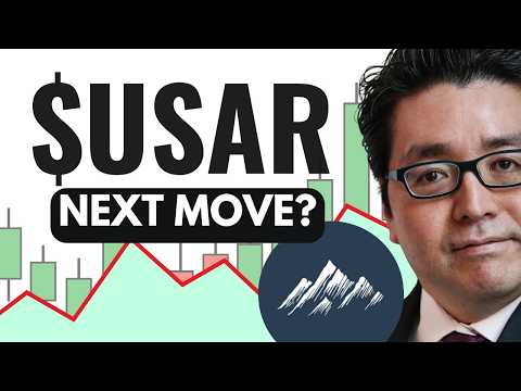 USAR Stock Analysis Today | USA Rare Earth Stock Prediction, USAR Stock Forecast & News
