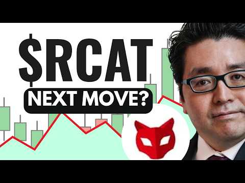 RCAT Stock Analysis Today, Red Cat Holdings Inc Stock Prediction, RCAT Stock Price Target