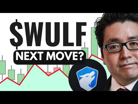 WULF Stock (Terawulf stock) WULF STOCK analysis WULF STOCK PREDICTION in WULF stock news today